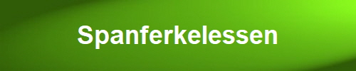 Spanferkelessen